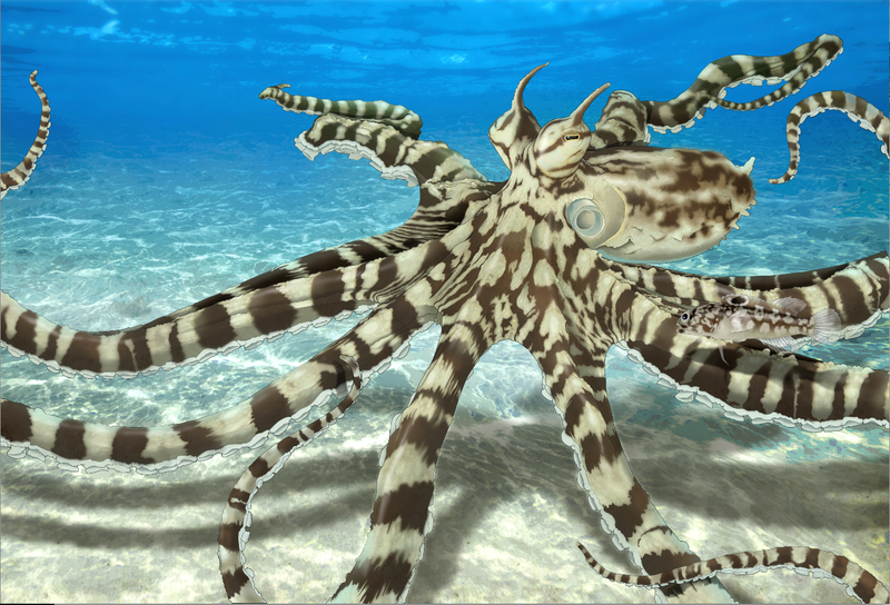 Illustration for article titled The Talented Mimic Octopus